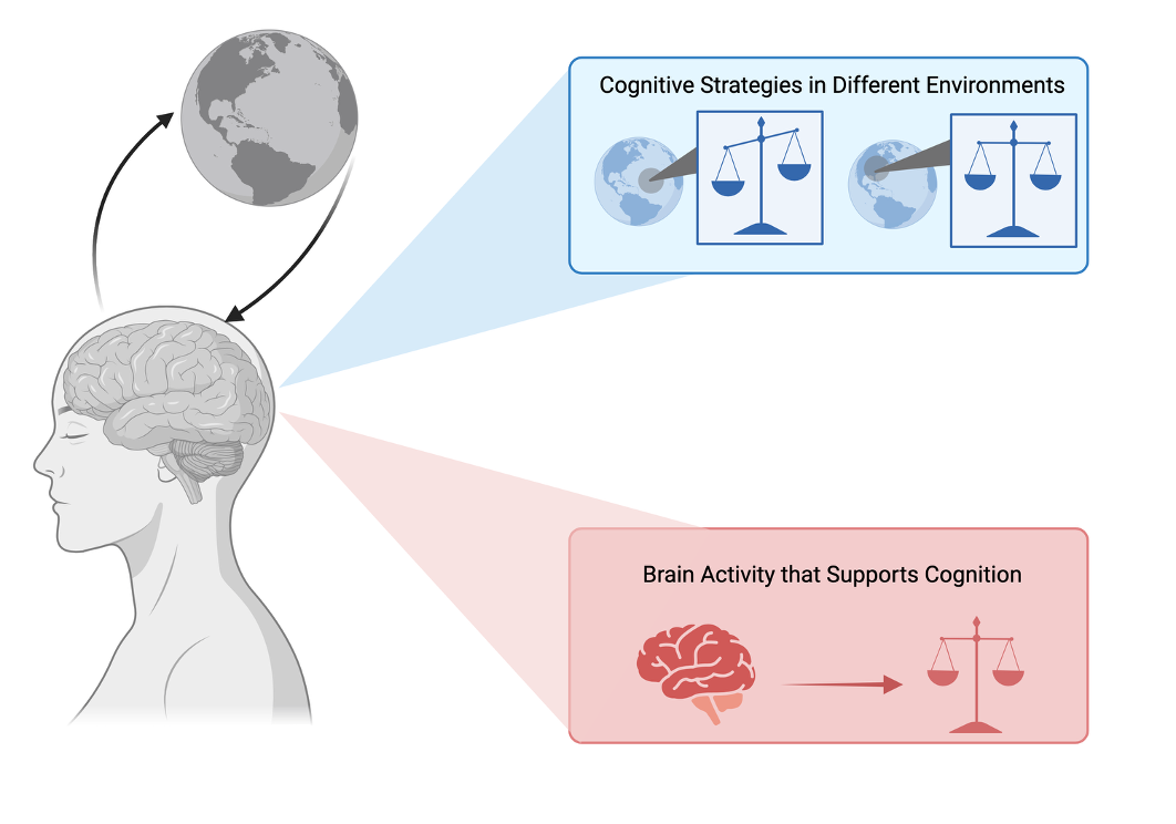 Diverse strategies in Adaptive Decision-Making