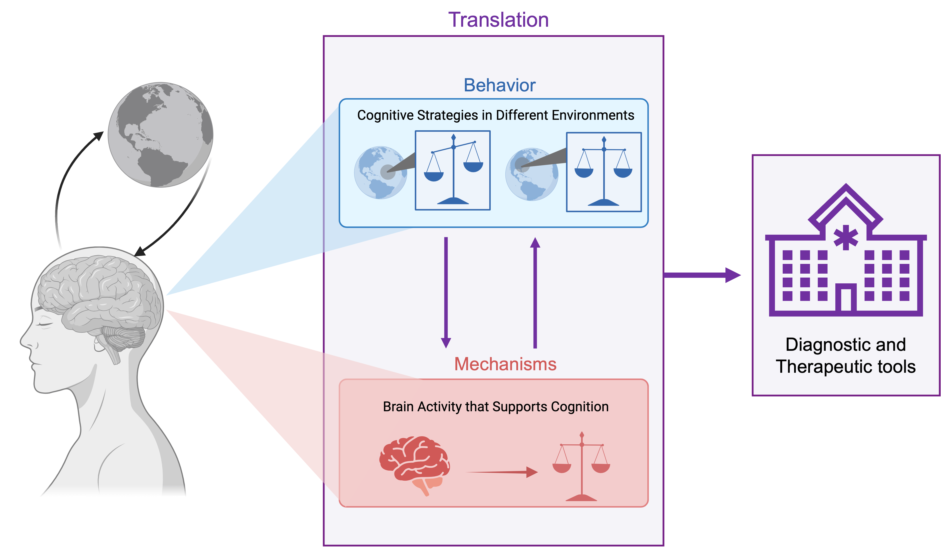 Cognition in Psychiatric Disorders